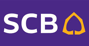 scb-thehugproject